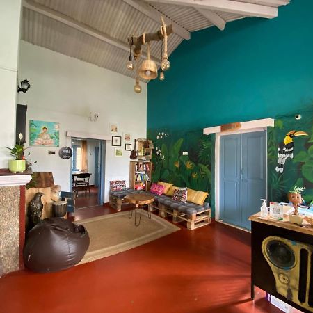 The Birdhouse Backpackers Hostel 쿠누르 외부 사진